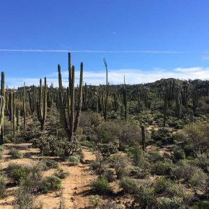 Baja_2017_1409