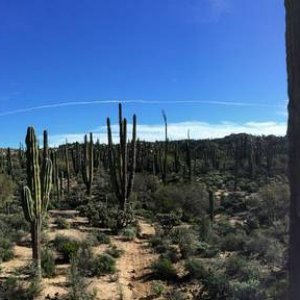 Baja_2017_1411