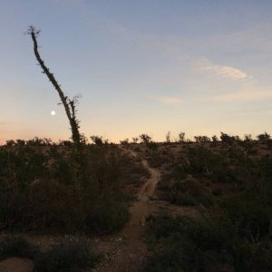 Baja_2017_1428