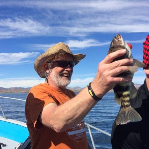 Baja_2017_1465
