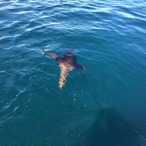 Baja_2017_1500