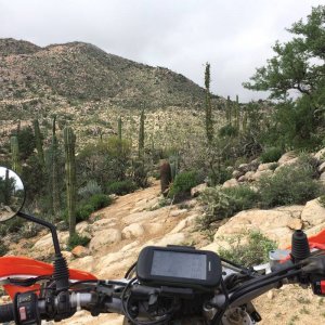 Baja_2017_1539