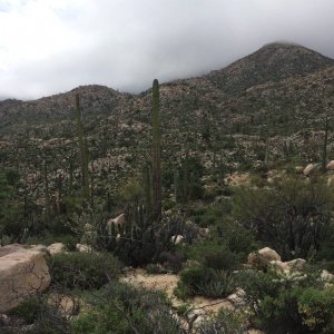 Baja_2017_1540