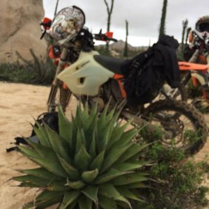 Baja_2017_1547
