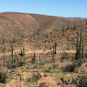 Baja_2017_1585