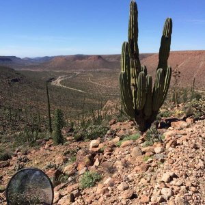 Baja_2017_1589
