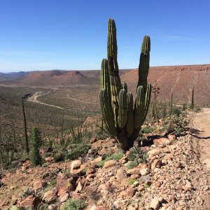 Baja_2017_1590