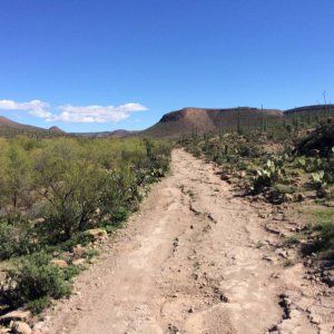 Baja_2017_1591