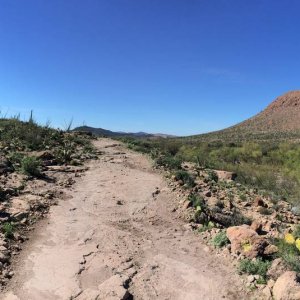 Baja_2017_1593