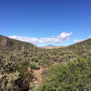 Baja_2017_1595