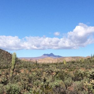 Baja_2017_1596