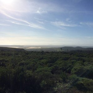 Baja_2017_1602