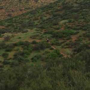 Baja_2017_1608