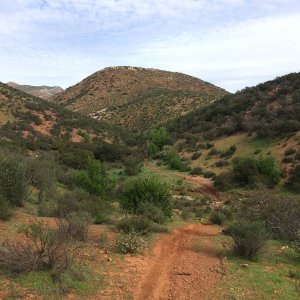 Baja_2017_1611