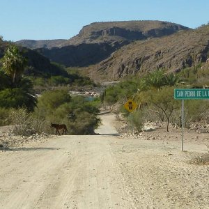 P1160585