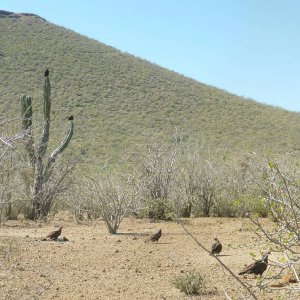 Panorama_581