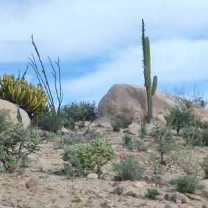 P1160910