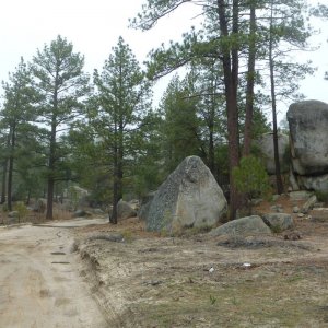 P1170008