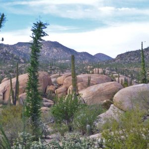 P1160911