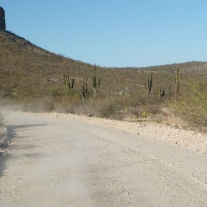 P1160598