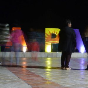 P11604881
