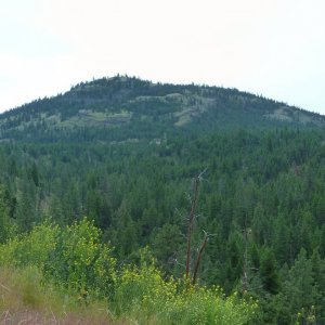 Panorama_128