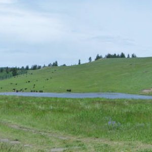 Panorama_312