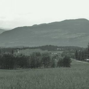 Panorama_510