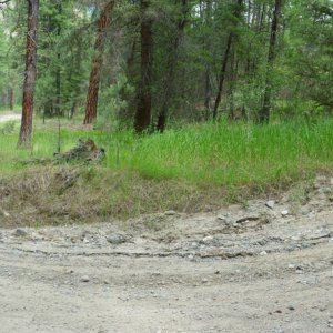 Panorama_129