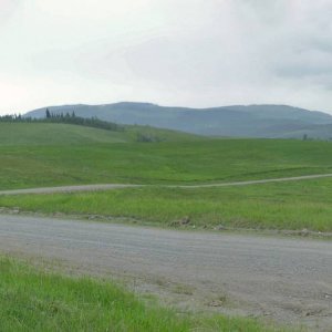 Panorama_313