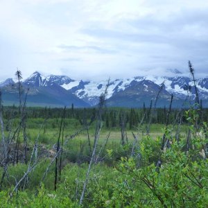 P1180976