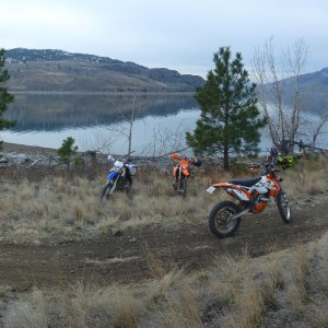 ResizerImage1551X493.jpg