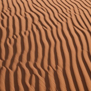 6C6370F8-8B3F-46C6-B5A7-C03F87D3E2C7.jpeg