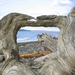 Malcolm Island... framed