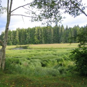 Kluxewe estuary