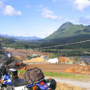 Beaver Cove logsort yard