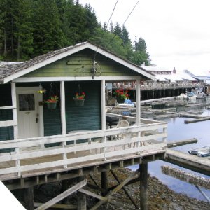 Telagraph Cove boardwalk