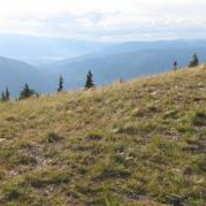 Mt_Thompson