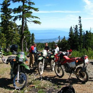 Mt Arrowsmith