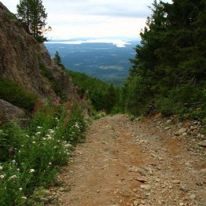 South to Ladysmith harbour