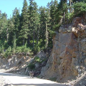 Hurley River FSR