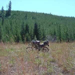 Marshal Lake FSR