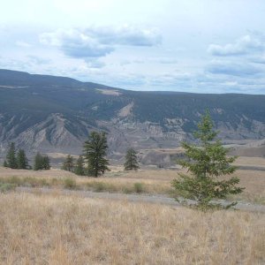 Coles BC Back Road