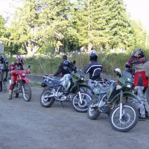 the_gang