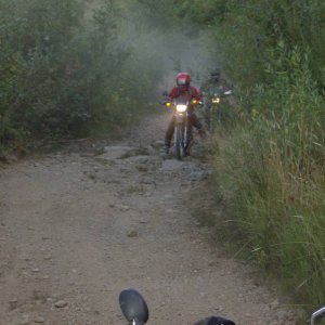 dirtdragon