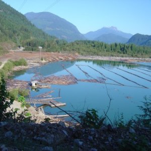 DSC043271