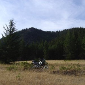 DSC044091
