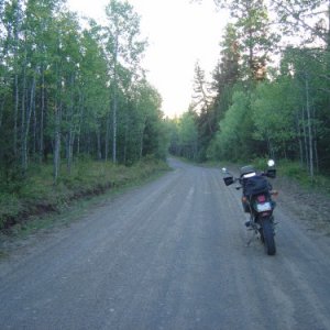 DSC044141