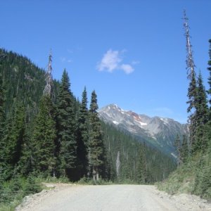 DSC043541