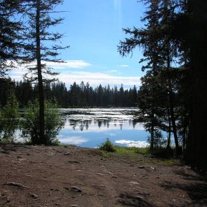 DSCN0331
